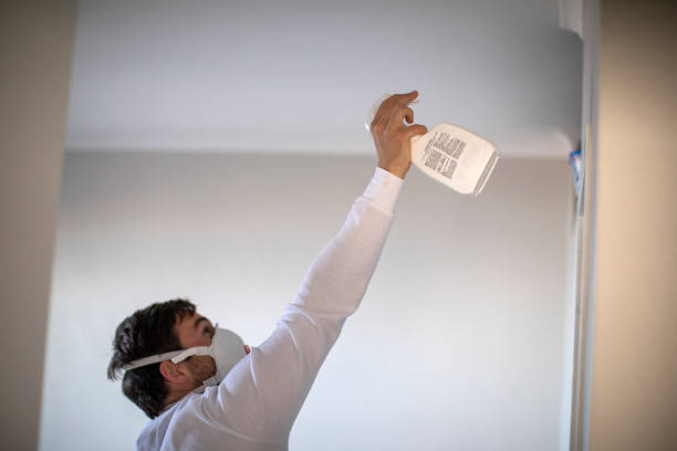 Galveston, TX Mold Remediation Company