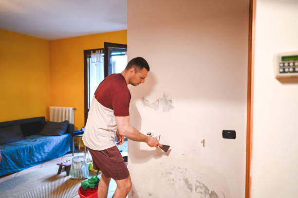 Best Basement Mold Remediation in Galveston, TX